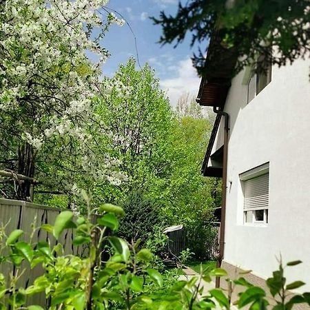 Casa File De Poveste Тыргу-Жиу Экстерьер фото