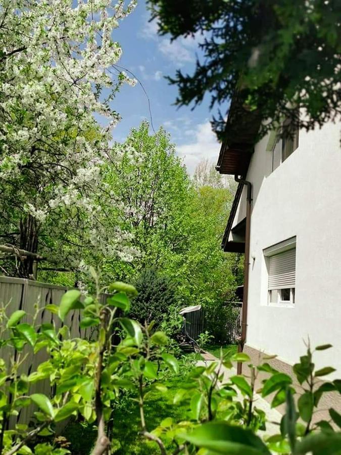 Casa File De Poveste Тыргу-Жиу Экстерьер фото